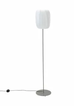 Lattiavalaisin Valkoinen